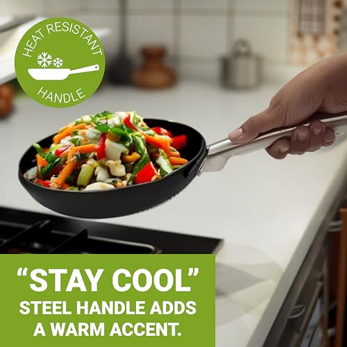Cast Iron Frypan Induction Base with Long Handle, 22 cm, 1 Pcs, Femora