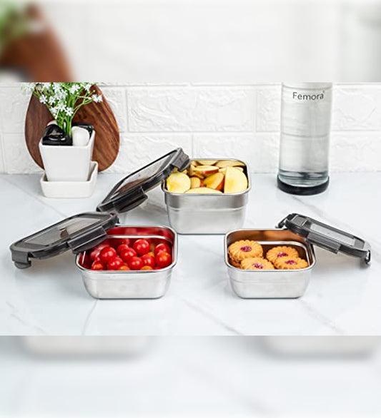 Stainless Steel Lunch Box Maroon Canvas Bag Femora, 350 ML + 550 ML, 3 Pcs