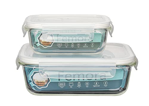 Borosilicate Glass Rectangular Storage Container with Air Vent Lid - 400ml, 620ml- Set of 2