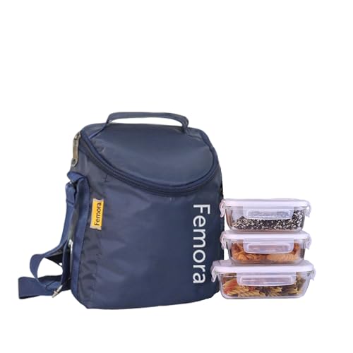 Borosilicate Glass Lunch Box Blue Canvas Bag Femora, 400 ML, 620 ML,  3 Pcs