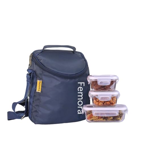 Borosilicate Glass Lunch Box Grey Blue Canvas Bag Femora, 300 ML + 620 ML, 3 Pcs