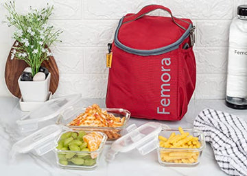 Borosilicate Glass Lunch Box Red Canvas Bag Femora, 300 ML, 620 ML, 3 Pcs