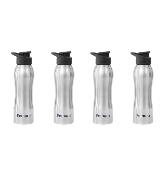 Stainless Steel Water Bottle with Sipper Cap, 750ML, 4 Pcs,  Femora