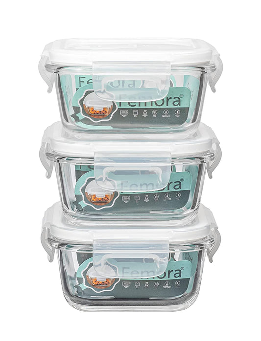 Borosilicate Glass Lunch Box Blue Canvas Bag Femora, 300 ML, 3 Pcs